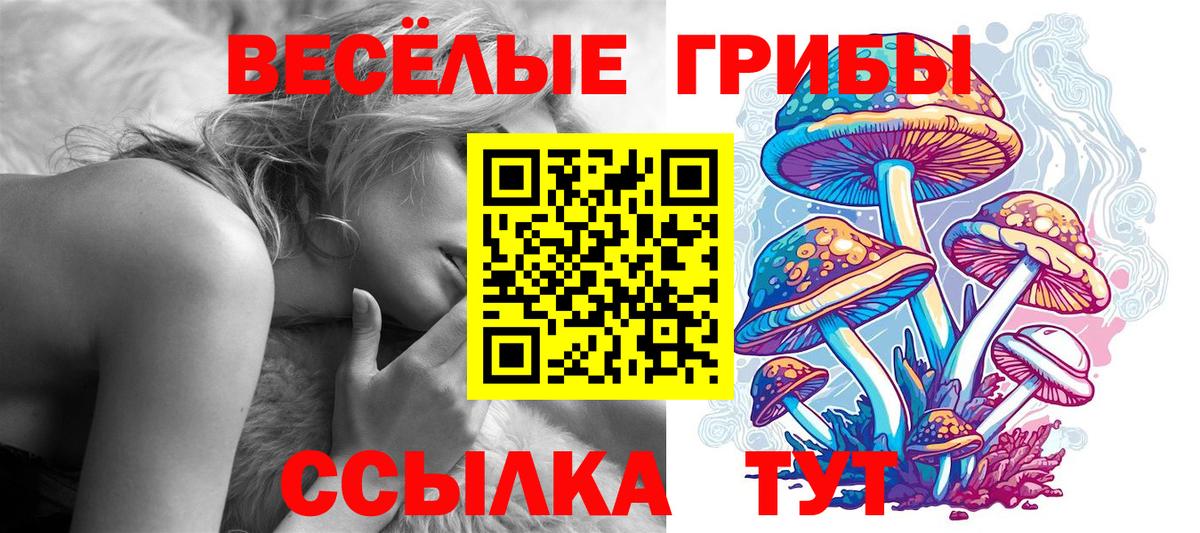 как найти закладки  Галлюциногенные грибы MAGIC MUSHROOMS  Киселёвск  Вход с VPN  Псилоцибиновые грибы Magic Shrooms 