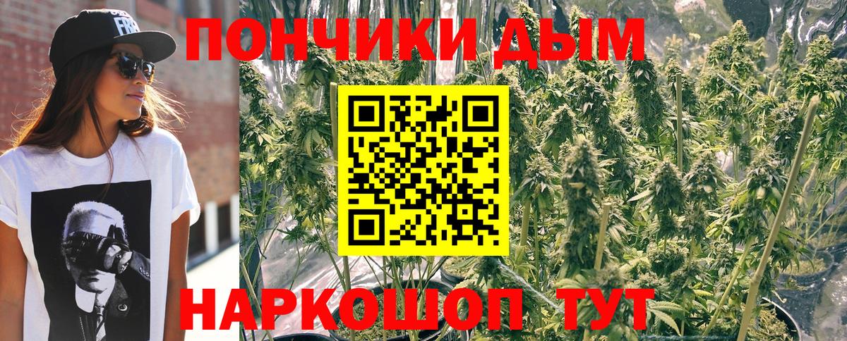 Марихуана OG Kush  Вход с VPN  Конопля сатива  Марихуана конопля  Киселёвск 